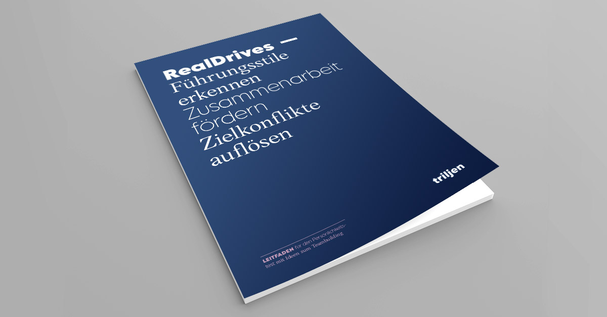 RealDrives Leitfaden